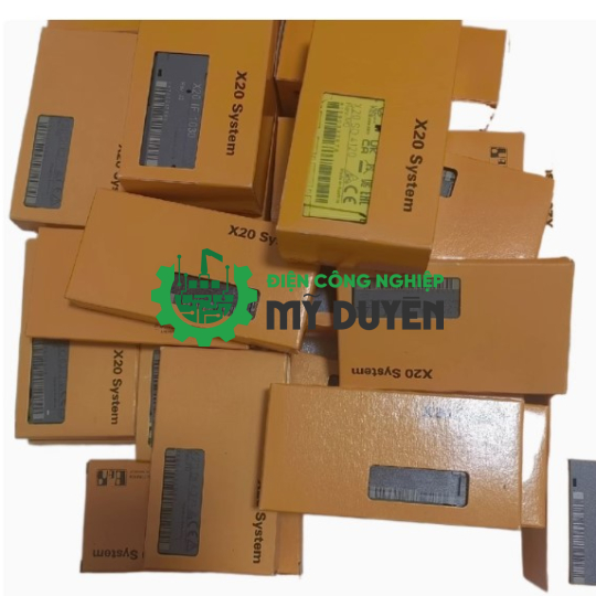 B&R X20CM8281 ( B&R Automation  )